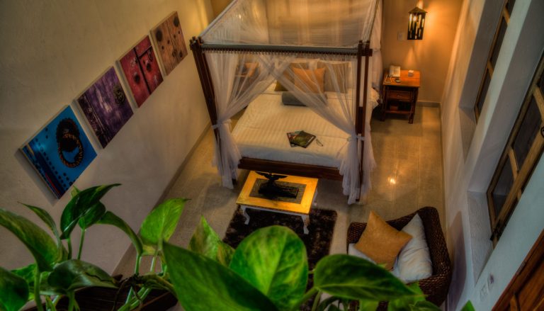 Welcome to Casa de Leda