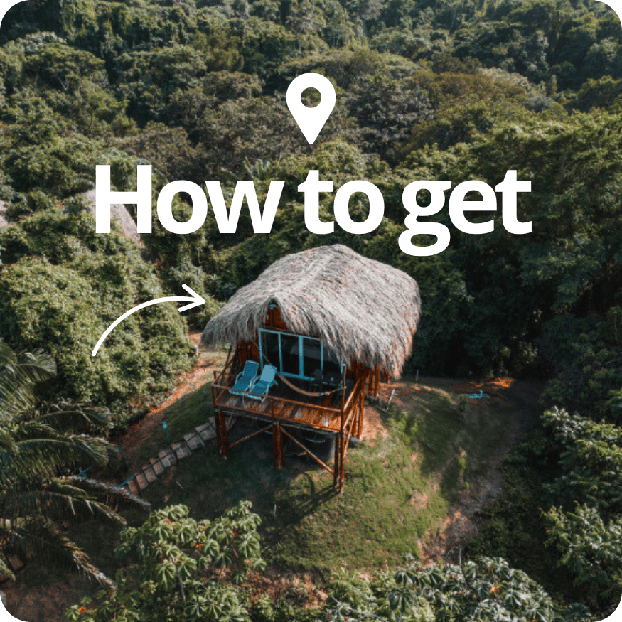 actiiva - 2025-10-28T214419.229 (1)